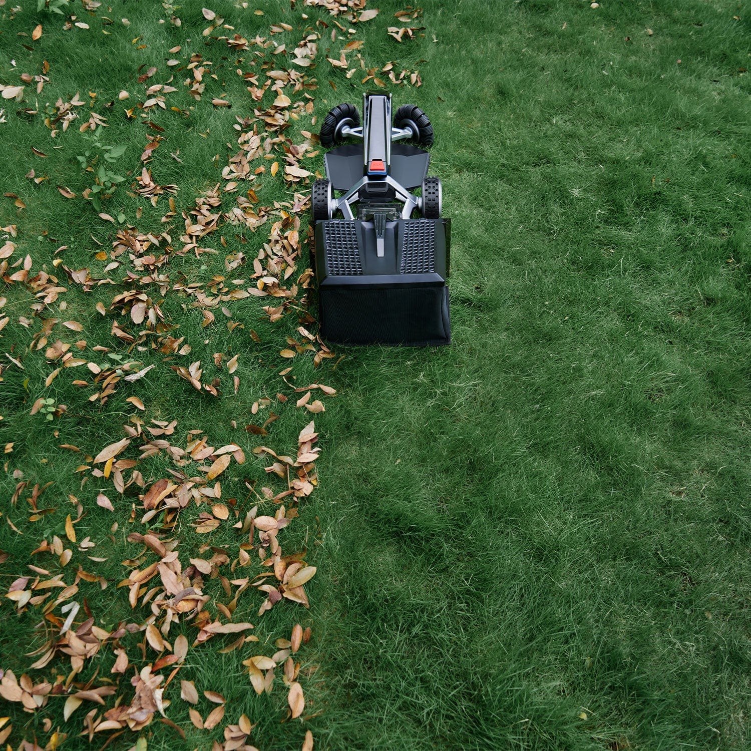 Miniature 3
